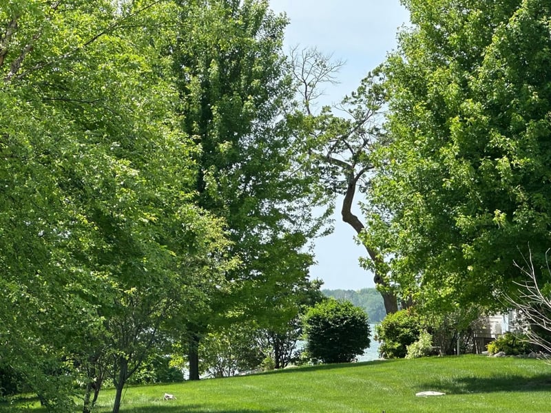 29172 Biehn Dr, Madison Lake, MN 56063