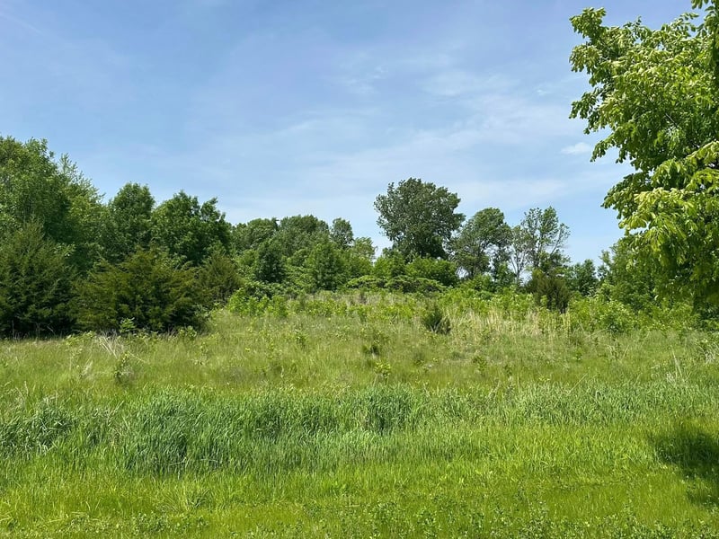 29036 Biehn Dr, Madison Lake, MN 56063