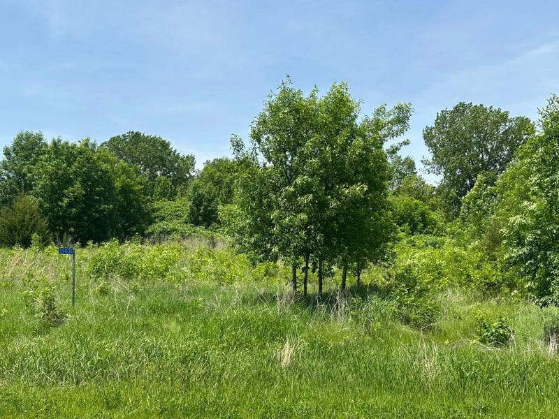 29036 Biehn Dr, Madison Lake, MN 56063