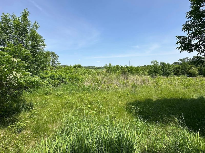 29036 Biehn Dr, Madison Lake, MN 56063