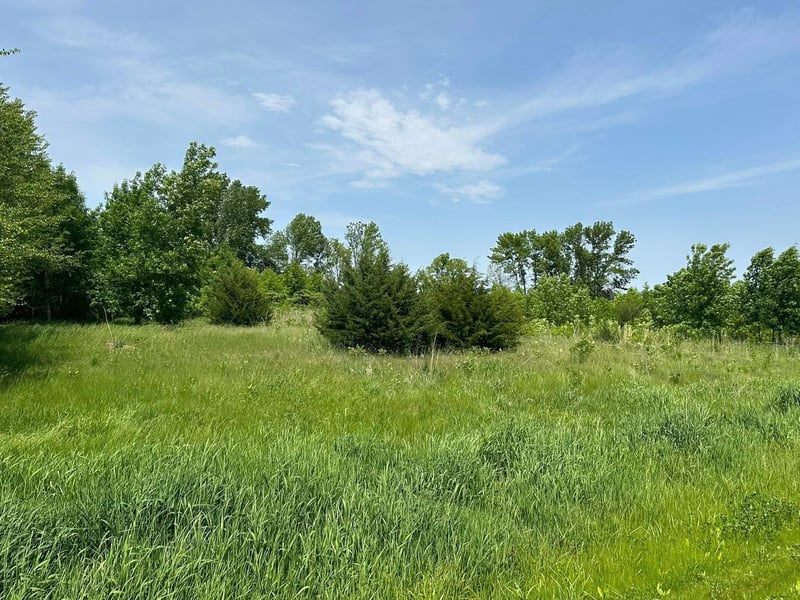 29036 Biehn Dr, Madison Lake, MN 56063