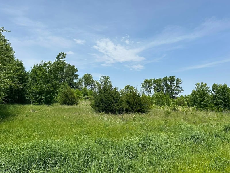 29036 Biehn Dr, Madison Lake, MN 56063