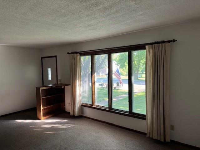 206 3rd St E, Brandon, MN 56315