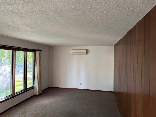 206 3rd St E, Brandon, MN 56315