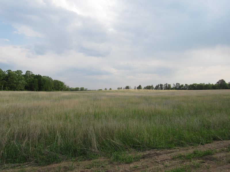 TBD 12th Parcel 9 SW, Backus, MN 56435