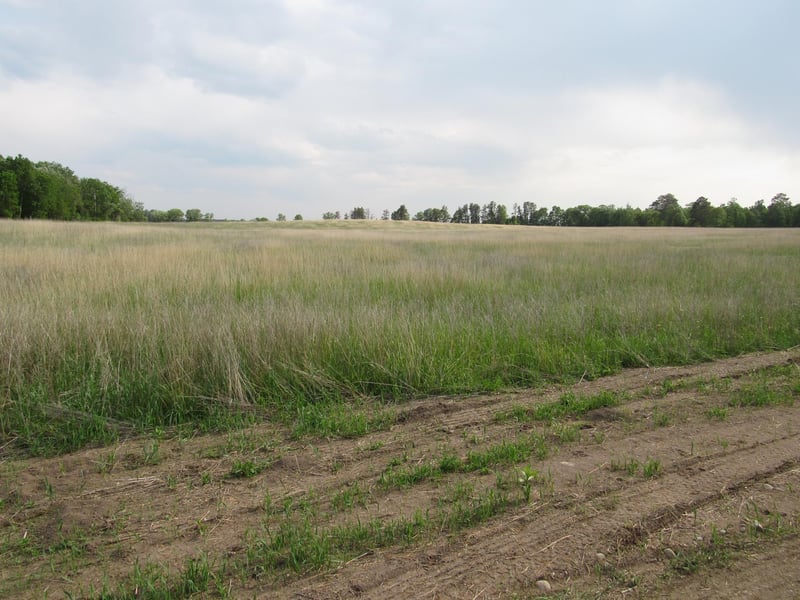 TBD 12th Parcel 9 SW, Backus, MN 56435