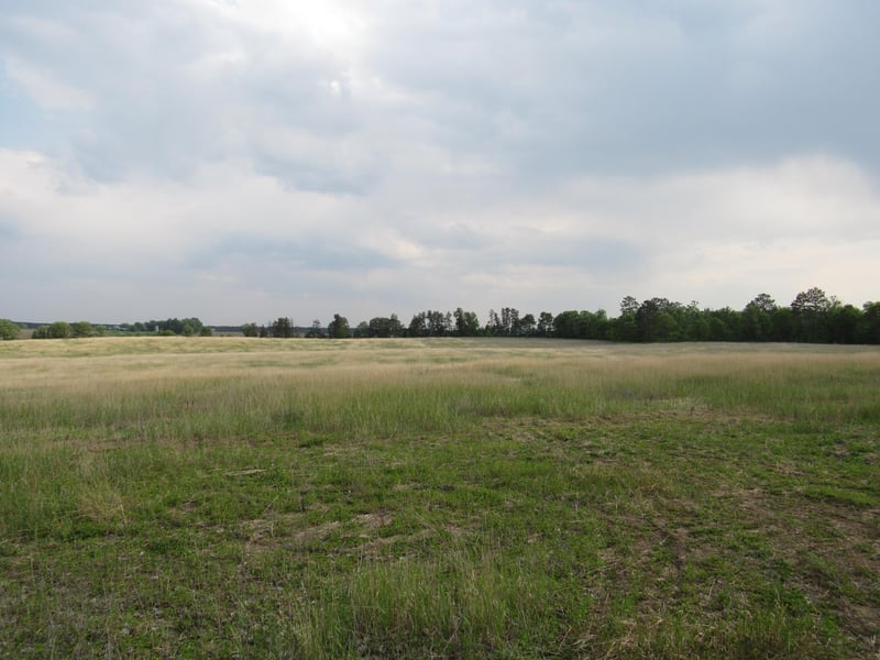 TBD 12th St SW, Backus, MN 56435