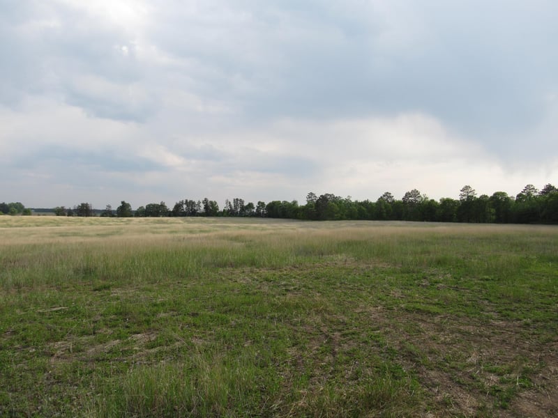 TBD 12th St SW, Backus, MN 56435