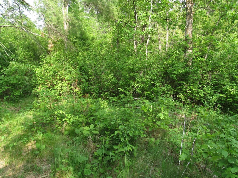 TBD 32nd Ave SW, Backus, MN 56435