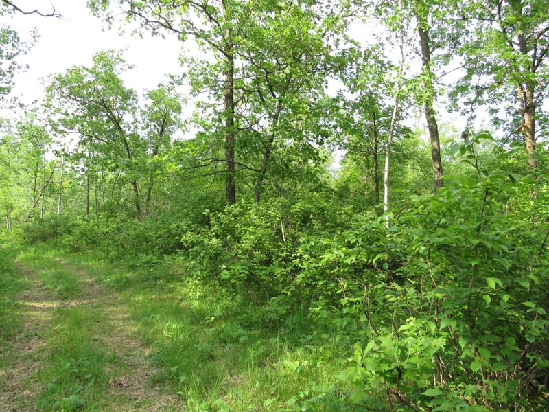 TBD 32nd Ave SW, Backus, MN 56435