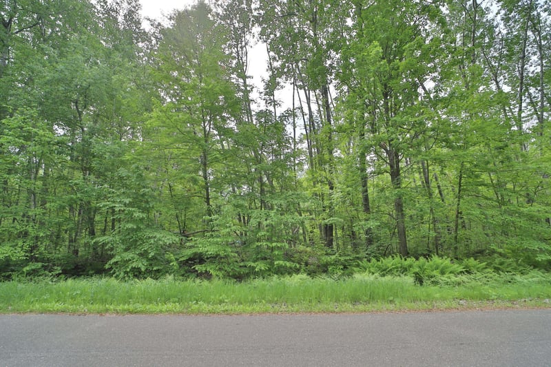TBD Blue Ln E, Emily, MN 56447