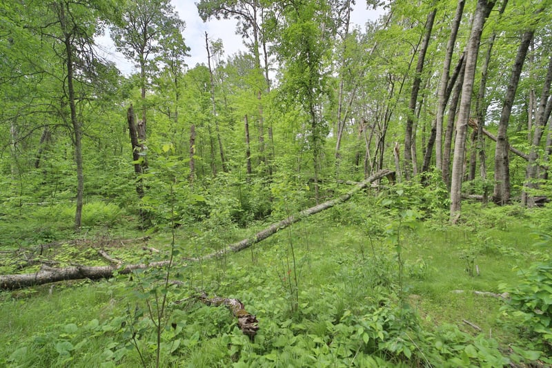 TBD Blue Ln E, Emily, MN 56447