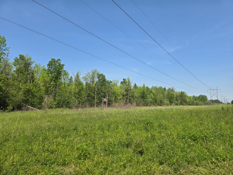 TBD Town Road 166, Littlefork, MN 56653