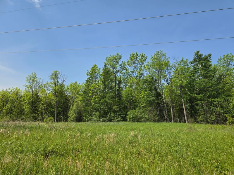 TBD Town Road 166, Littlefork, MN 56653