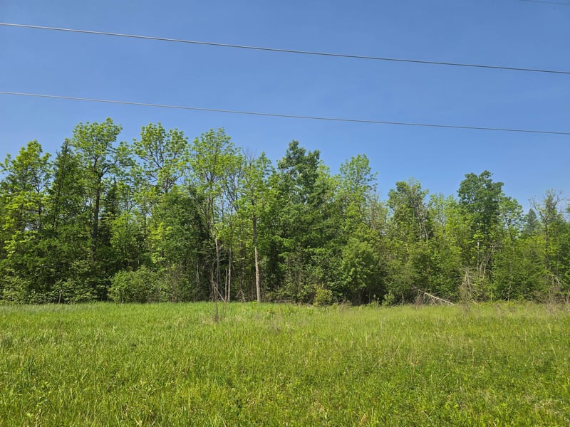 TBD Town Road 166, Littlefork, MN 56653