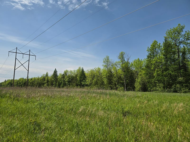 TBD Town Road 166, Littlefork, MN 56653