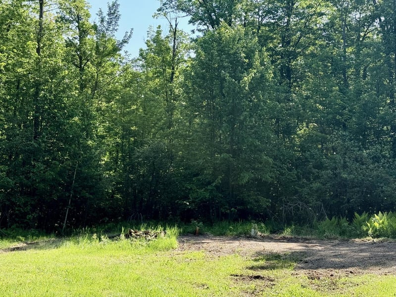 74564 Cane Creek Rd, Askov, MN 55704