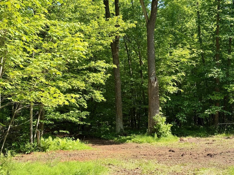 74564 Cane Creek Rd, Askov, MN 55704