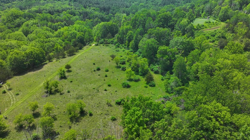 tbd County 13 Rd, Houston, MN 55943