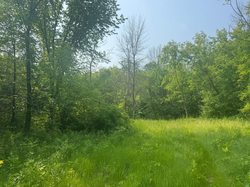 3920 Tomahawk Trl, Medina, MN 55340