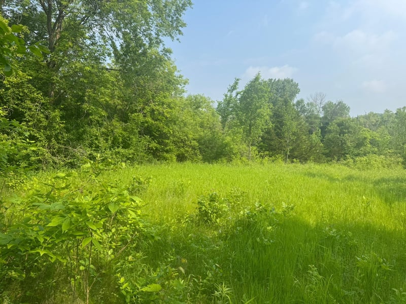 3920 Tomahawk Trl, Medina, MN 55340