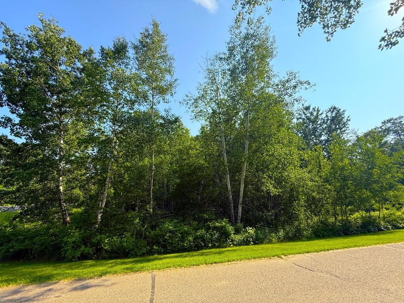 000 Maplewood Dr, East Gull Lake, MN 56401