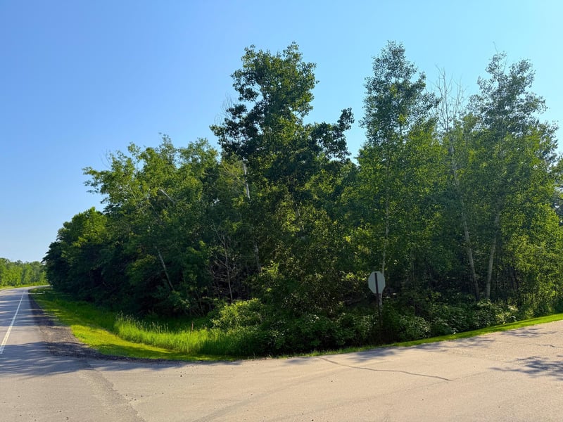 000 Maplewood Dr, East Gull Lake, MN 56401