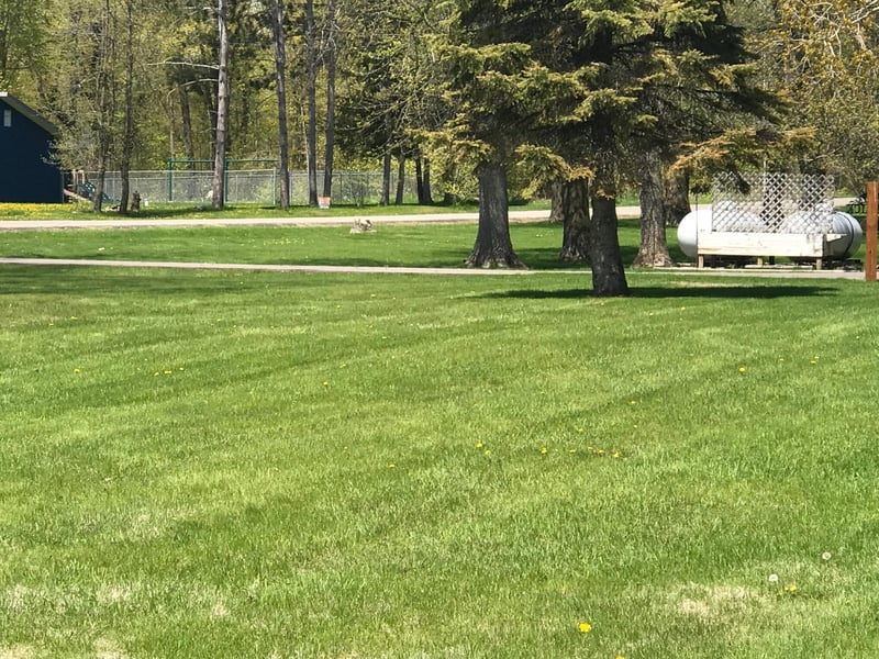 XXX Battle Point Trl, Federal Dam, MN 56641