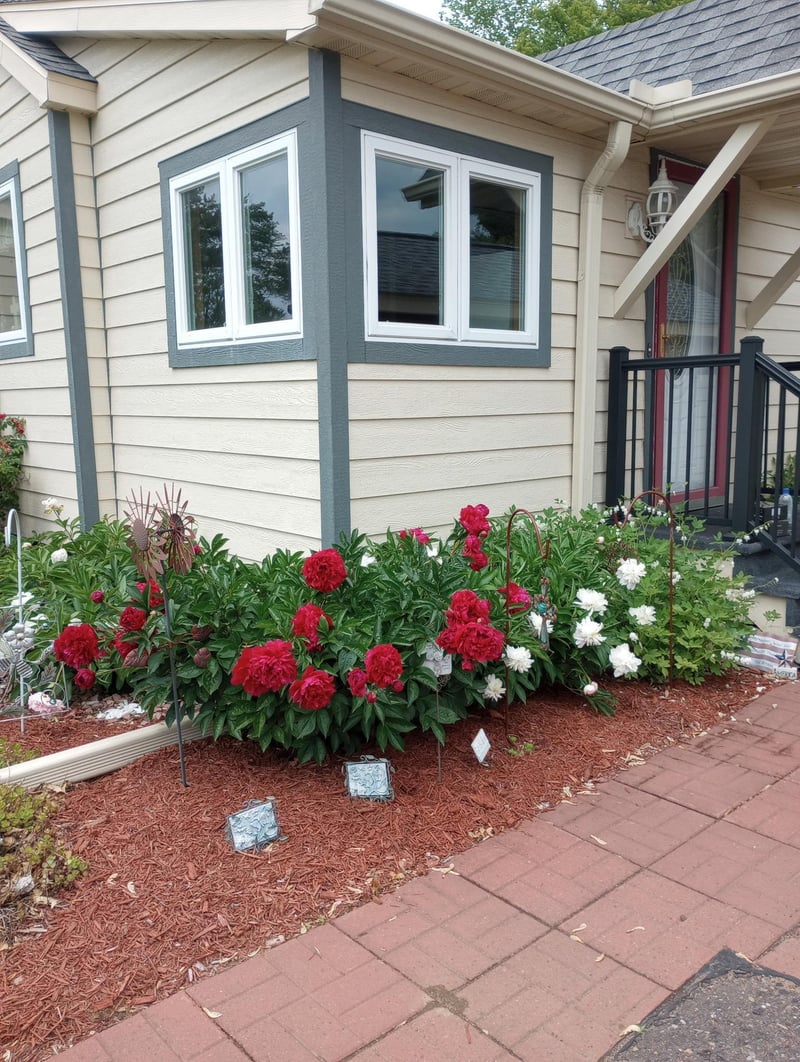 505 W Poplar Ave, Cameron, WI 54822