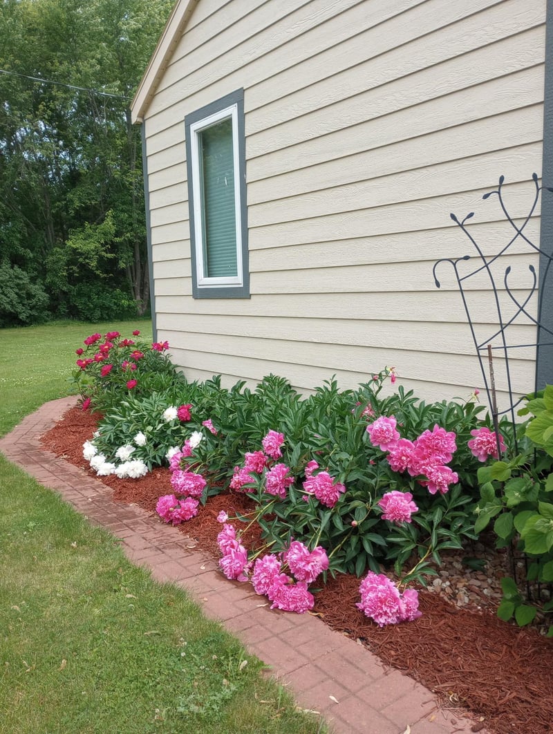 505 W Poplar Ave, Cameron, WI 54822