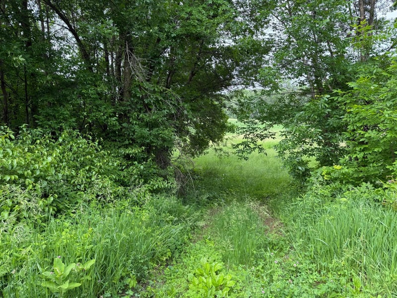 17001 Elmore Ave, Faribault, MN 55021