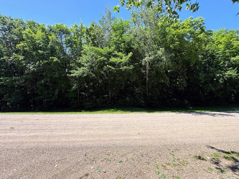32xxx Smokey Ln, Battle Lake, MN 56515