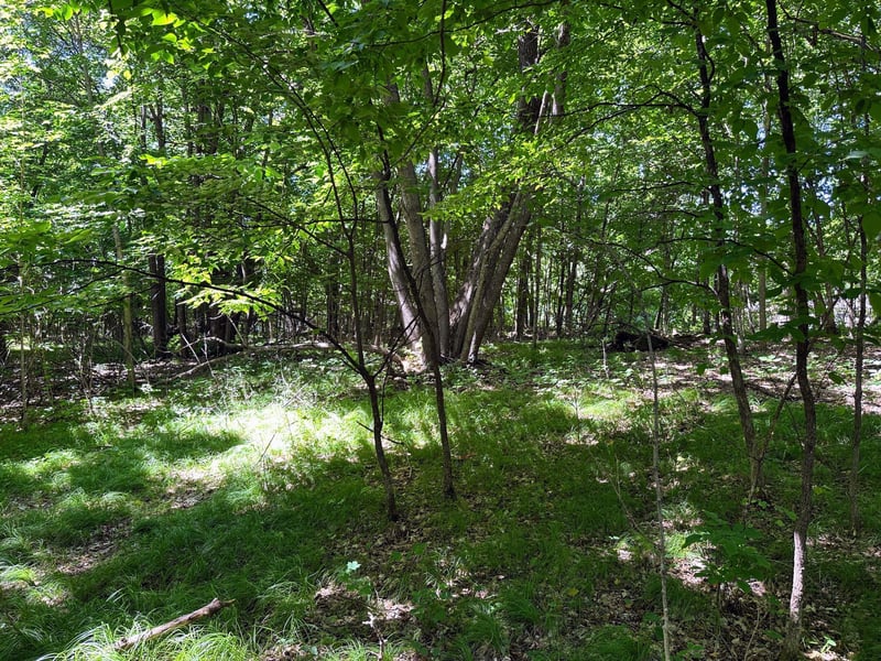 32xxx Smokey Ln, Battle Lake, MN 56515