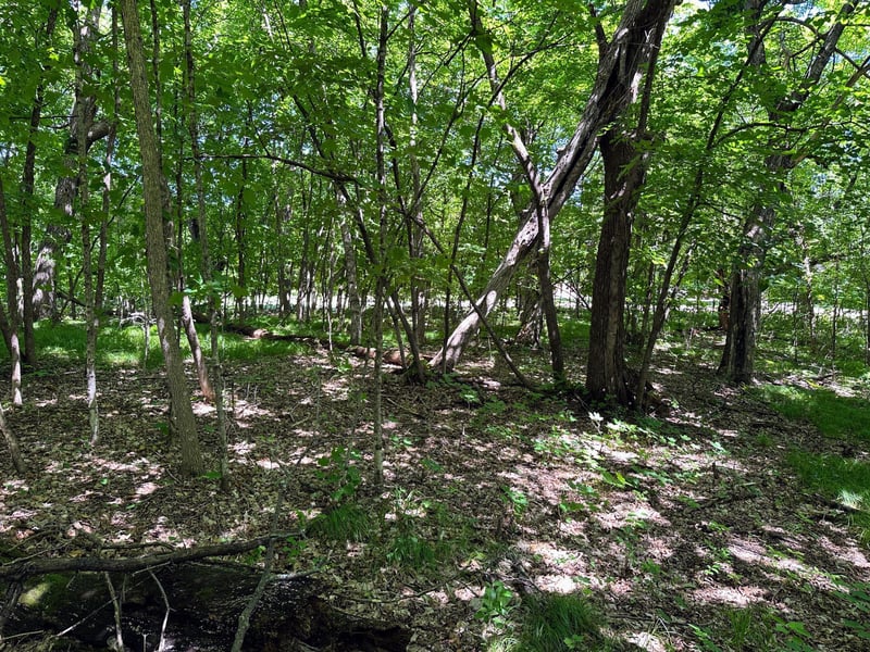 32xxx Smokey Ln, Battle Lake, MN 56515