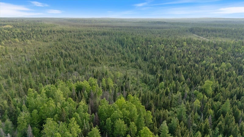 2600 Whyte Rd, Two Harbors, MN 55616