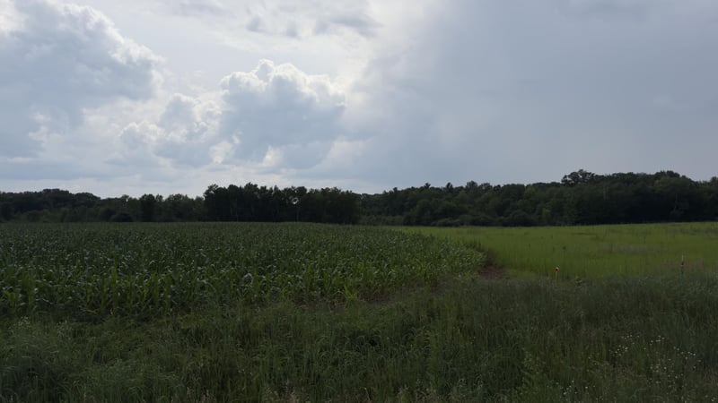 xxx Athens, Stacy, MN 55079