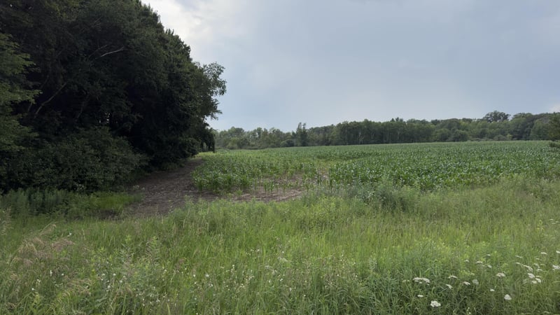 xxx Athens, Stacy, MN 55079