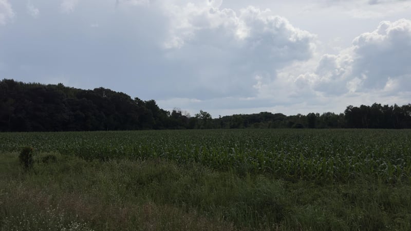 xxx Athens, Stacy, MN 55079