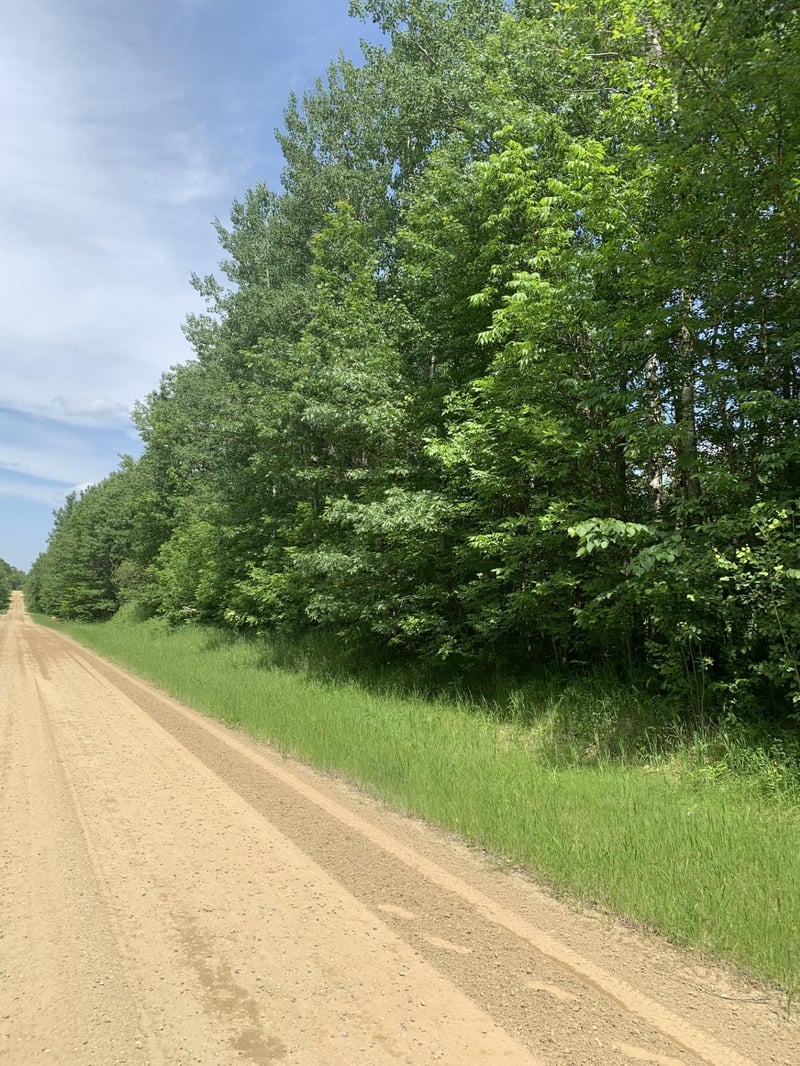 TBD 63rd Ave NW, Walker, MN 56484