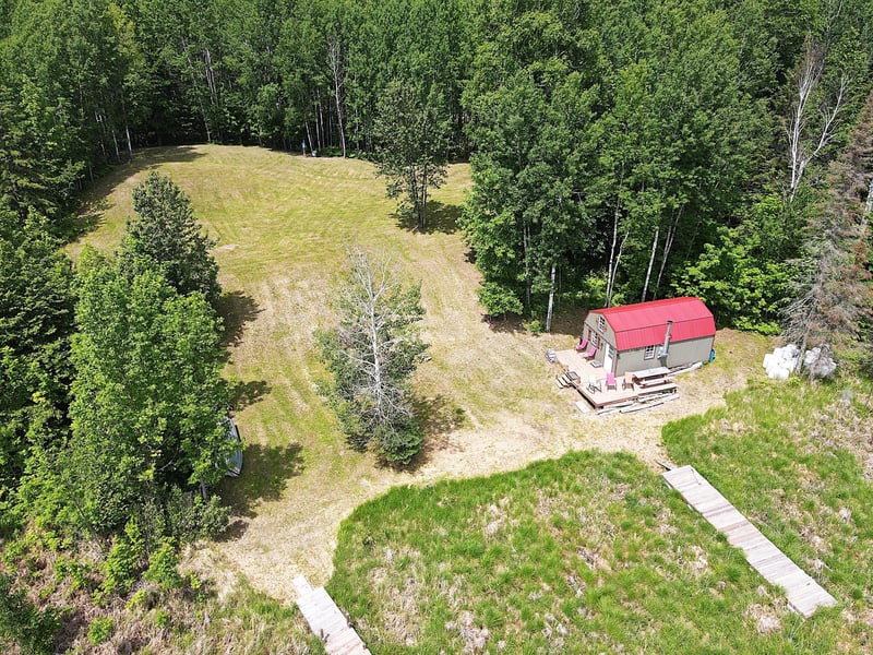 41251 Turtle Lake Rd, Bigfork, MN 56628
