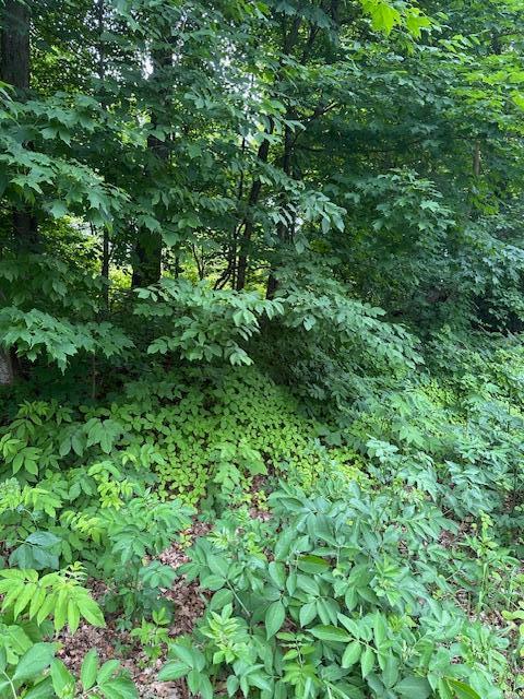 XXX 170th Ave, Centuria, WI 54824