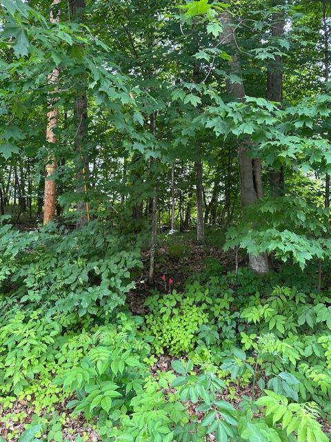 XXX 170th Ave, Centuria, WI 54824