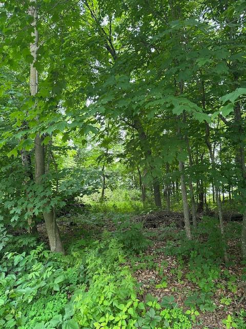 XXX 170th Ave, Centuria, WI 54824