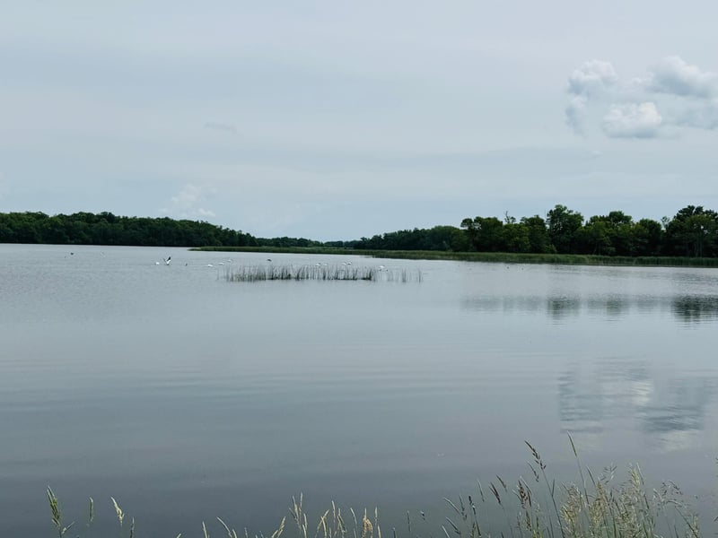 21631 Kandi Swift Rd NW, Sunburg, MN 56289