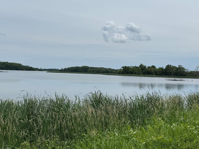 21631 Kandi Swift Rd NW, Sunburg, MN 56289