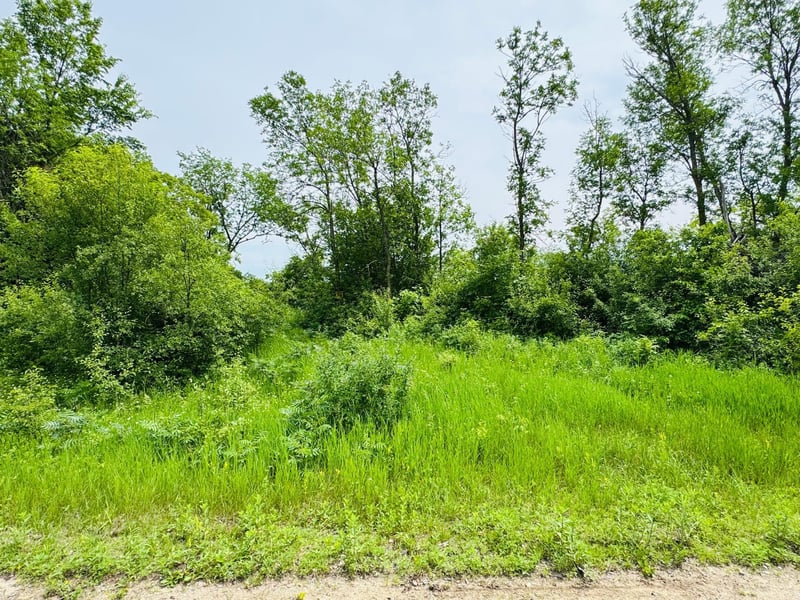 21631 Kandi Swift Rd NW, Sunburg, MN 56289