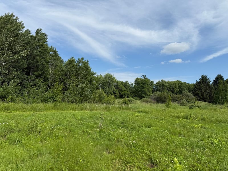 TBD St Croix Trl, North Branch, MN 55056