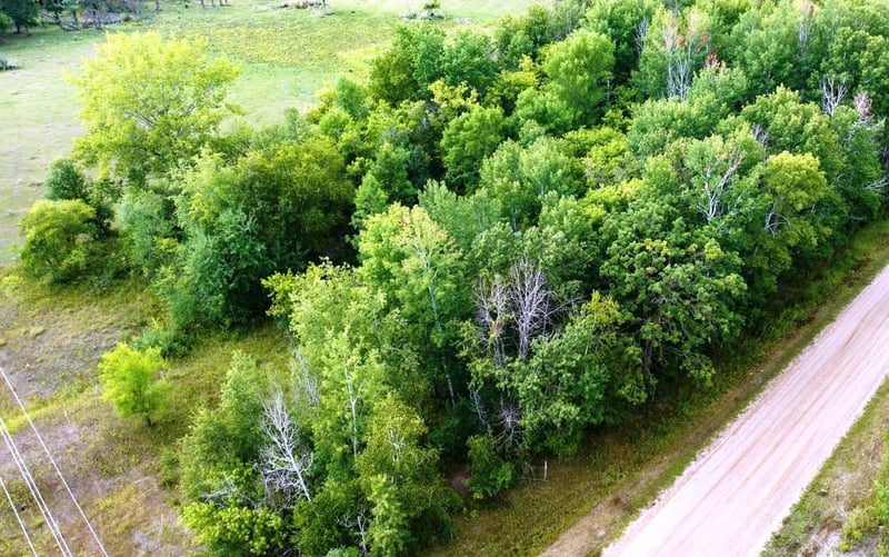 TBD 260th, Sebeka, MN 56477