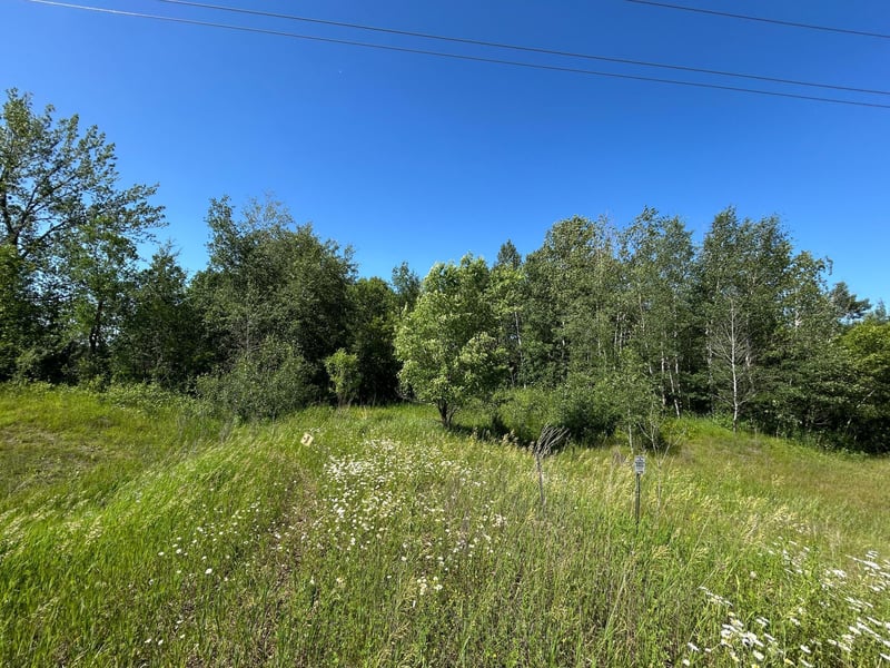 TBD 260th, Sebeka, MN 56477