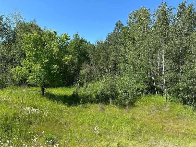 TBD 260th, Sebeka, MN 56477